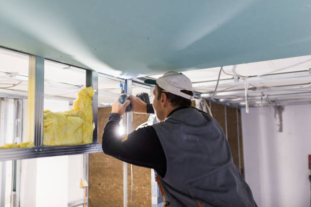 Best Insulation for New Construction  in Gwinn, MI